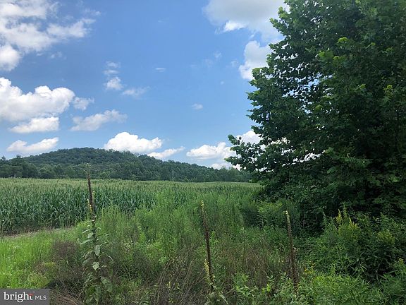 2nd image of Orange Rd
