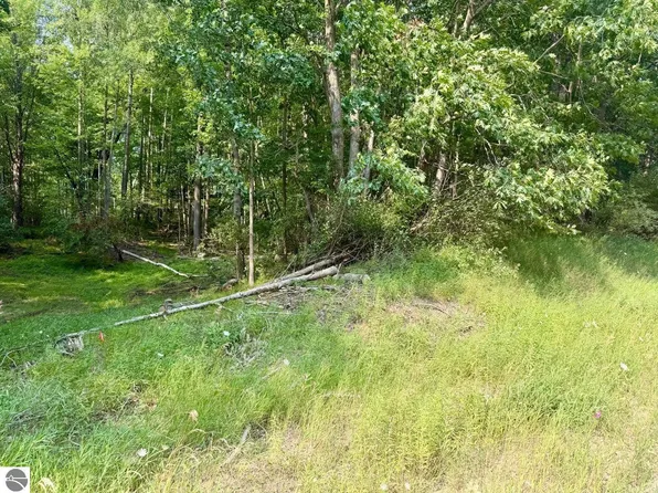 W River Rd, Lake Isabella, MI 48893