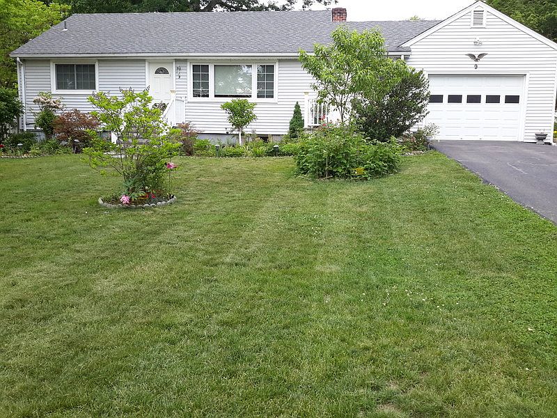 Front view
						:
						Springtime
