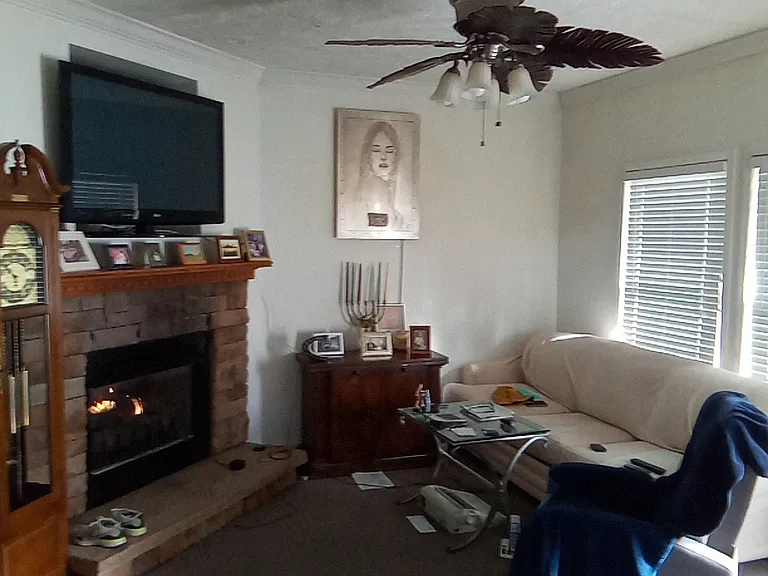 180 Old Haw Creek Rd — Photo 7