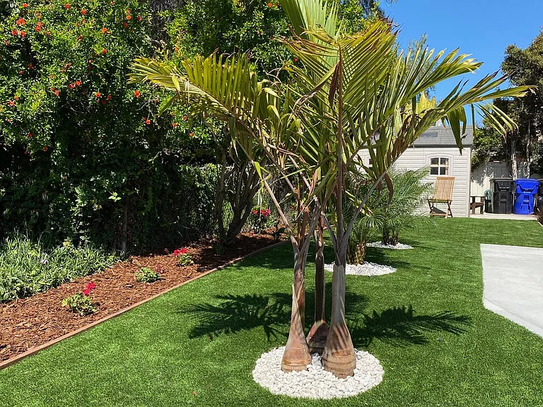 Outside with all new landscape and turf
