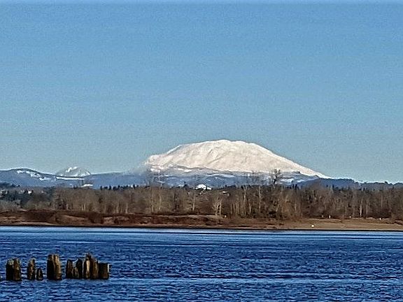 View of the River from apartment building