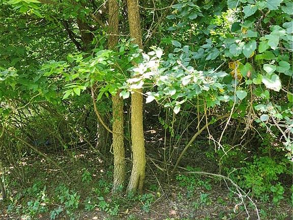 4th image of 65 Pheasant Run