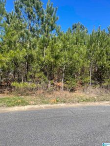 1424 14th St #17, Pleasant Grove, AL, 35127