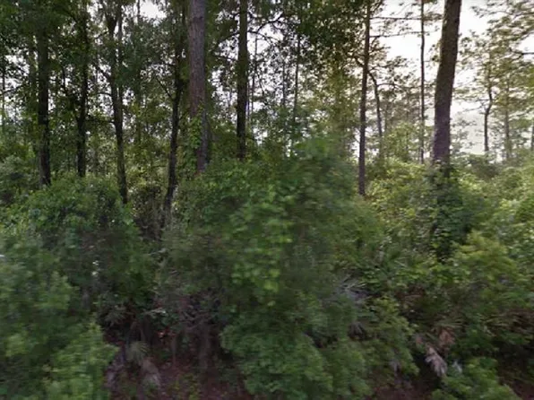 NE 152nd Ct Lot 14, Fort Mc Coy, FL 32134