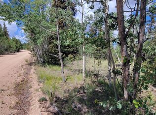 943 Bear Ln, Como, CO 80456