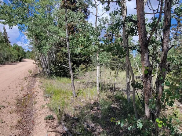 943 Bear Ln, Como, CO 80456