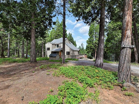 3rd image of 25877 Mule Deer Ct