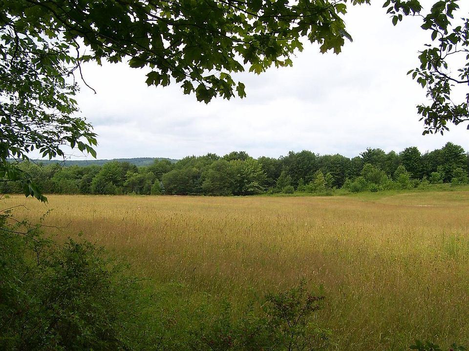 2nd image of Ratville Rd