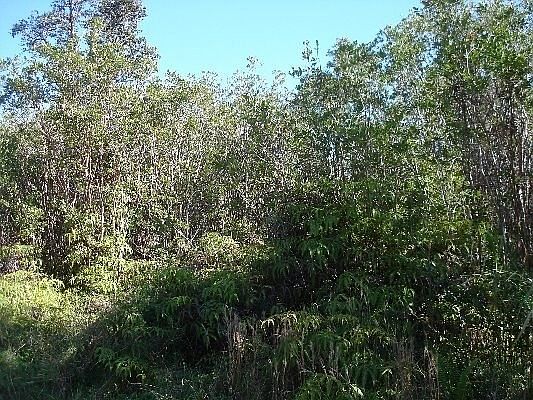 2nd image of Uhini Ana Rd #1-lot 2546