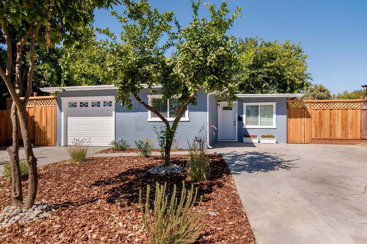 10288 Lochner Dr photo 1