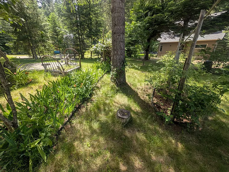 31 Elmes Dr — Photo 30