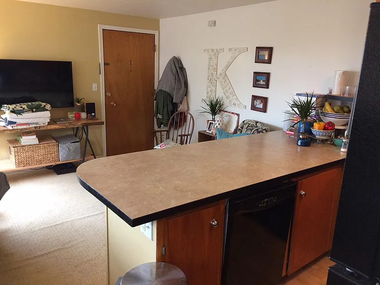 103 E Lynn St #204 — Photo 19