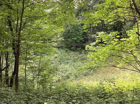 LOT 605 Crestwood Cir, Mancelona, MI 49659