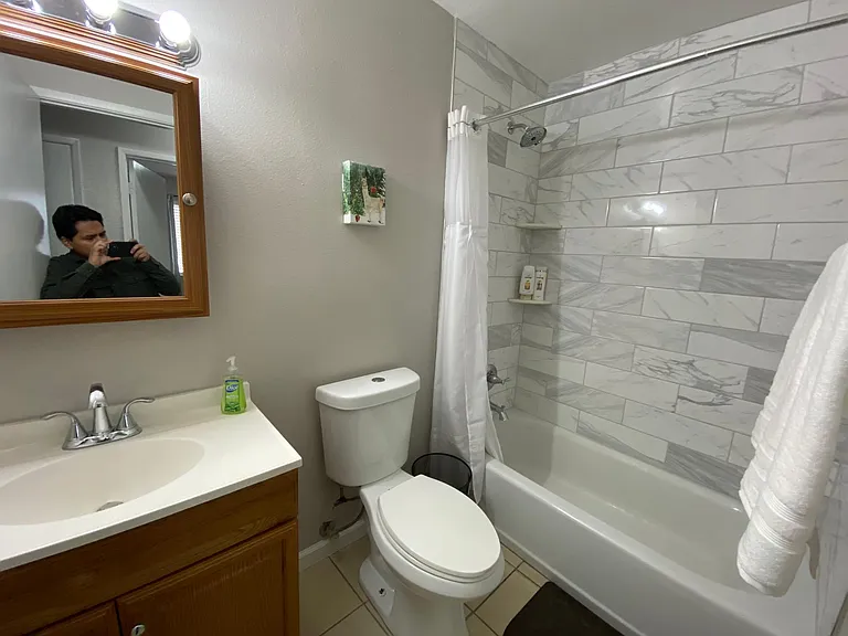 Hallway Bathroom