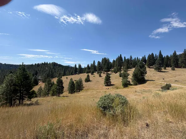 3476 Fawn Ln, Portola, CA 96122