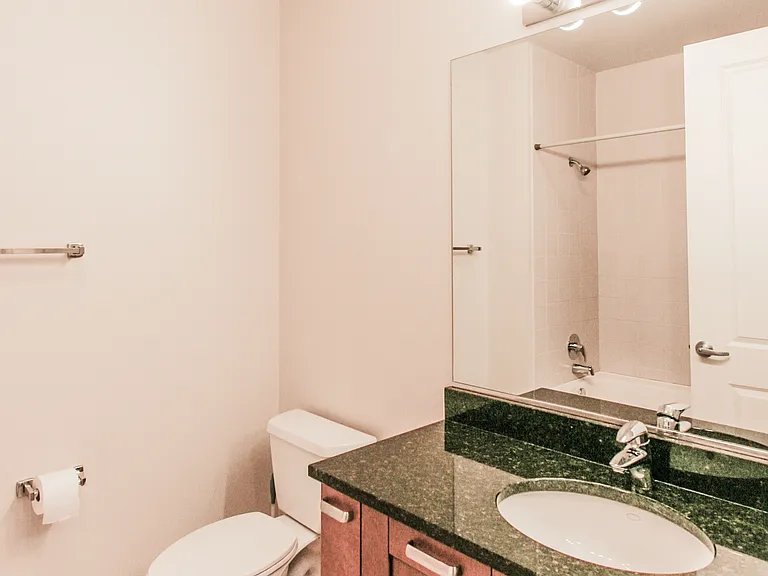 170 W Polk St #802 — Photo 11