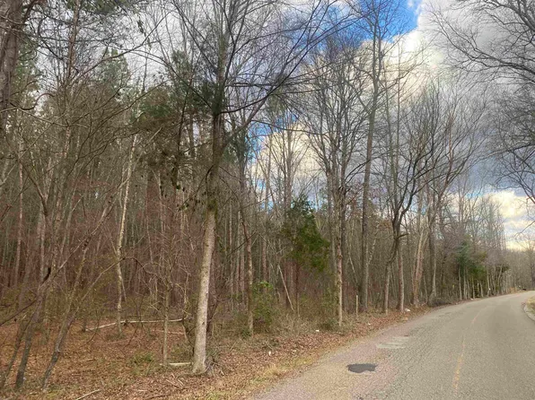 9 Rose Creek Rd, Selmer, TN 38375