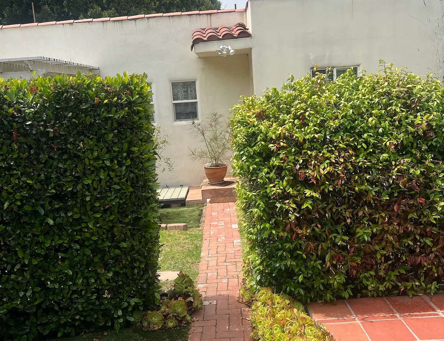 Ashland Ave, Santa Monica — Photo 4