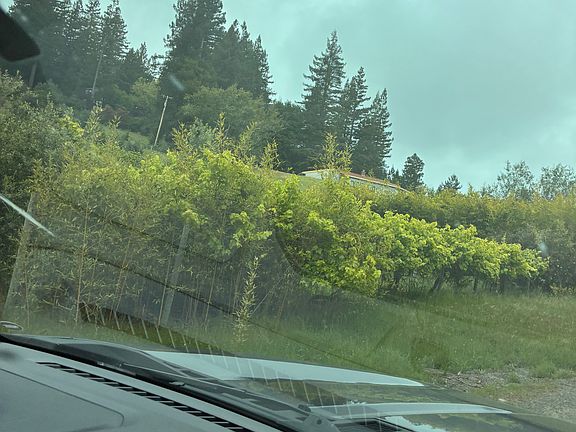 5th image of 3000 Muniz Ranch Rd #1