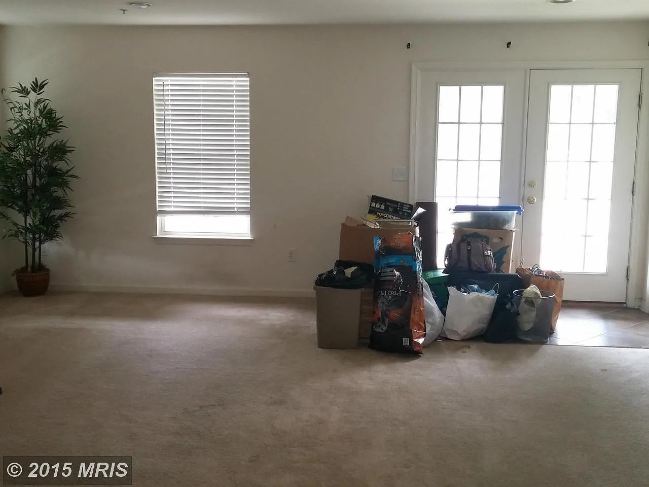 1160 Canvasback Ln photo 1