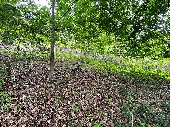 5th image of 1 Ridge St