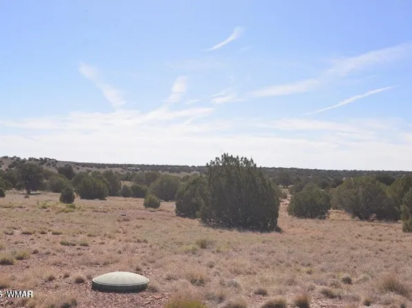 1 N 9218th #9234, Concho, AZ 85924