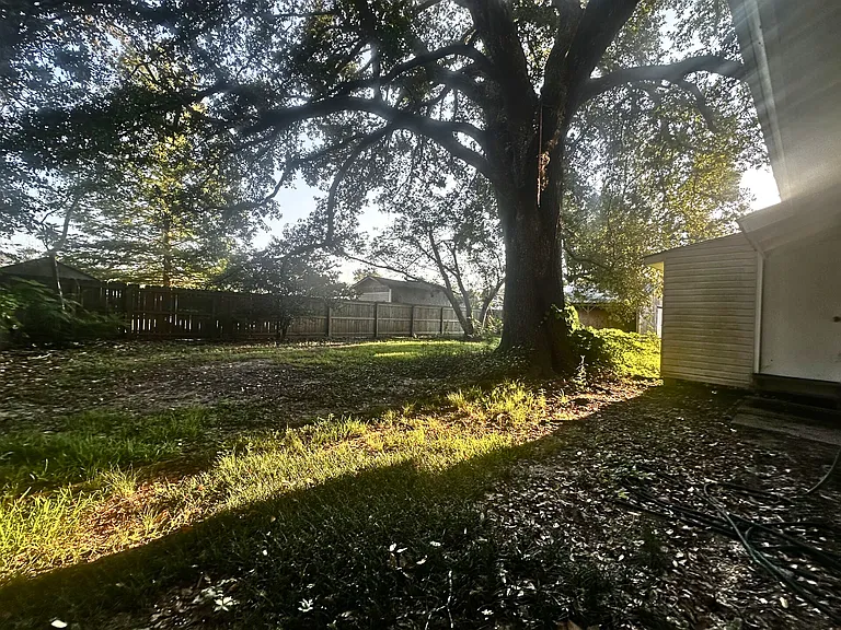 30121 Julia St — Photo 12