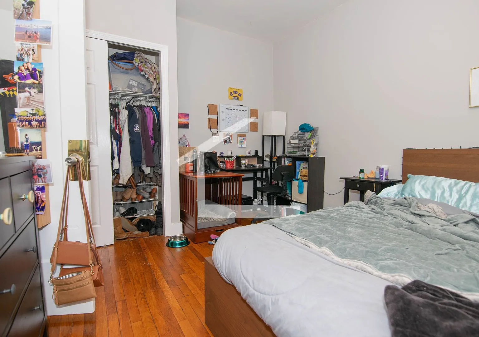 Huge 6 bed in Allston — Photo 4