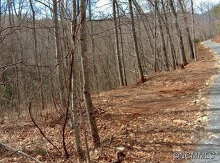 0 Panther Branch Rd, Canton, NC 28716