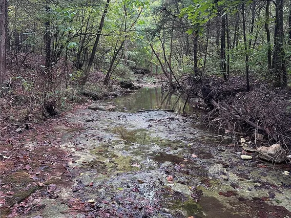 80.80 Acres Hwy #221, Berryville, AR 72616