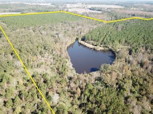 1758 Lafollette Rd, Slocomb, AL 36375