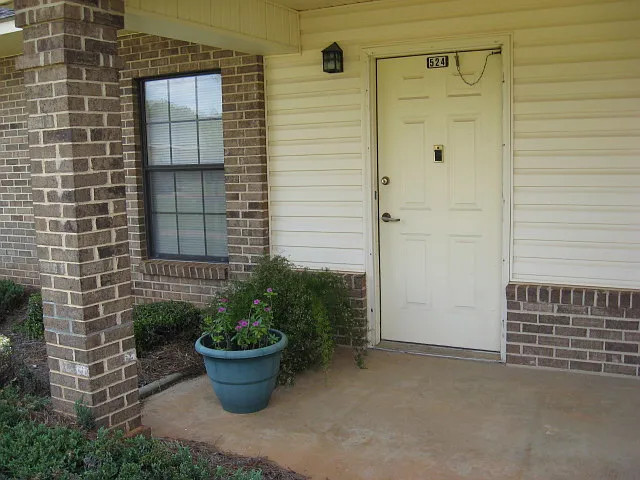 Greenville Village — Photo 10