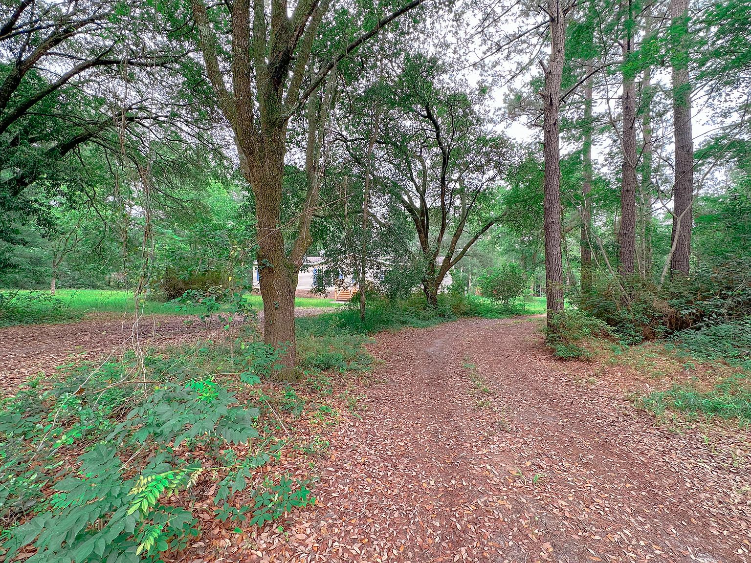 1745 Sandridge Rd, Dorchester, SC 29437 Zillow