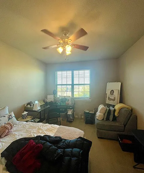 3803 Cascade Sky Dr — Photo 38