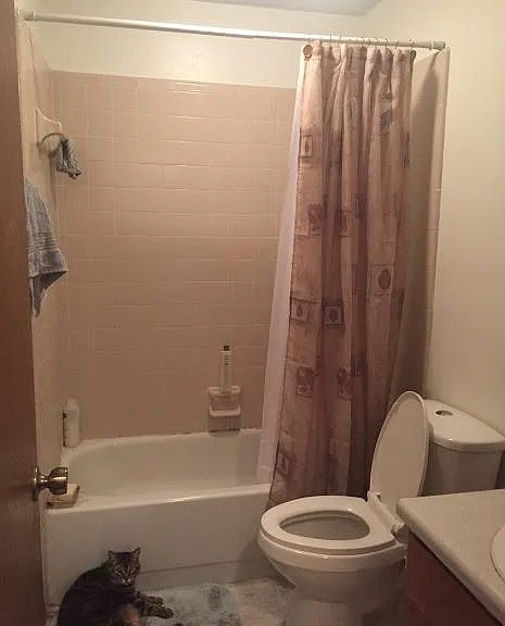 4265 Brewster Rd #B — Photo 6