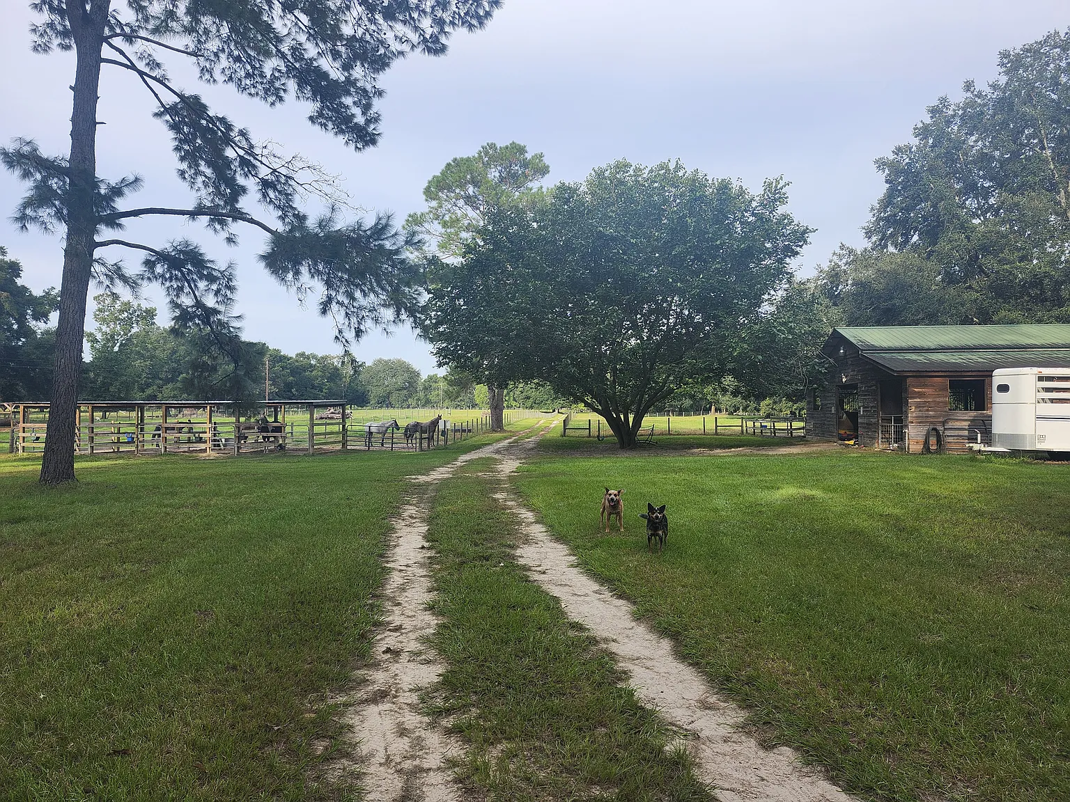 SW Buck Ct, Fort White — Photo 2