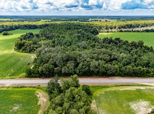 3 State Line Rd, Cottonwood, AL 36320