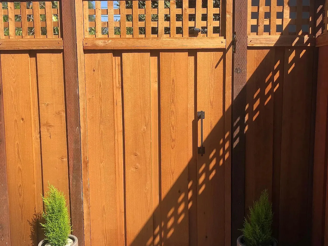 1 bed, 700 sqft, $1,200 — Photo 4