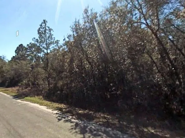 9382 N Cavewood Ave, Crystal River, FL 34428