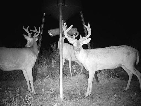 2nd image of 0 County Road 32
