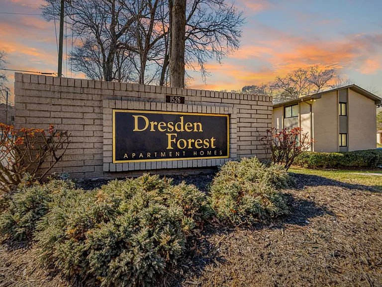 Dresden Forest | Close to Everything. Surrounded by Serenity. — Photo 12