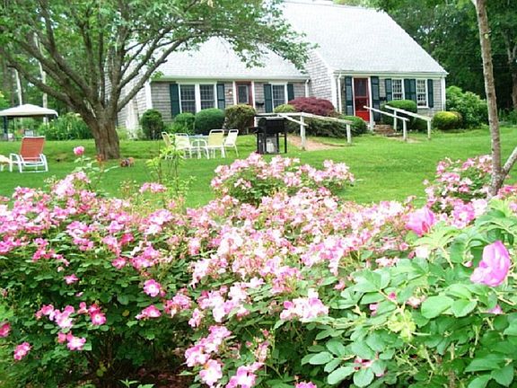 5 Trees, Main house