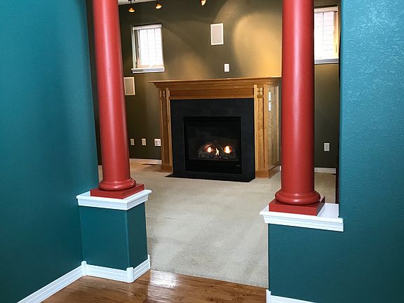 Professional Designer colors