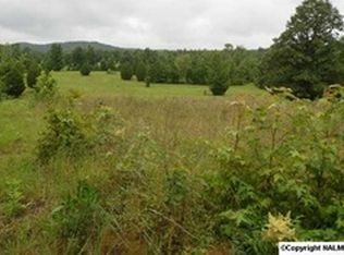 617 Siler Rd, Piedmont, AL 36272