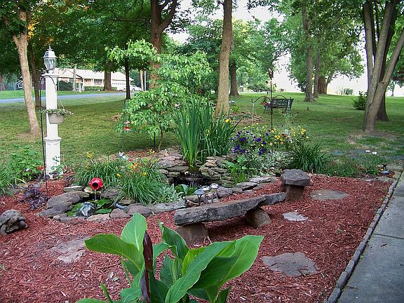 Garden pond