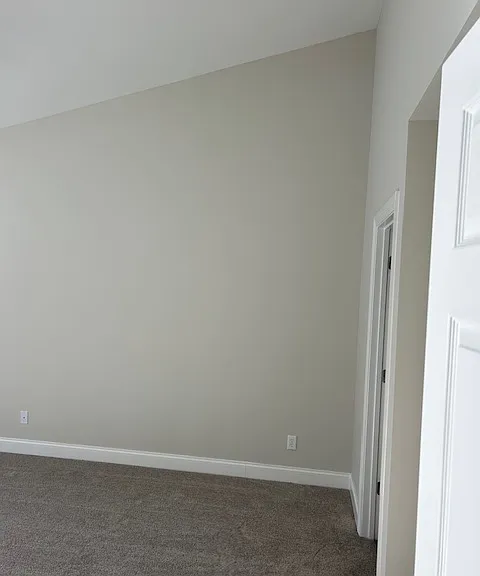 Owner's Suite - Vaulted Ceiling