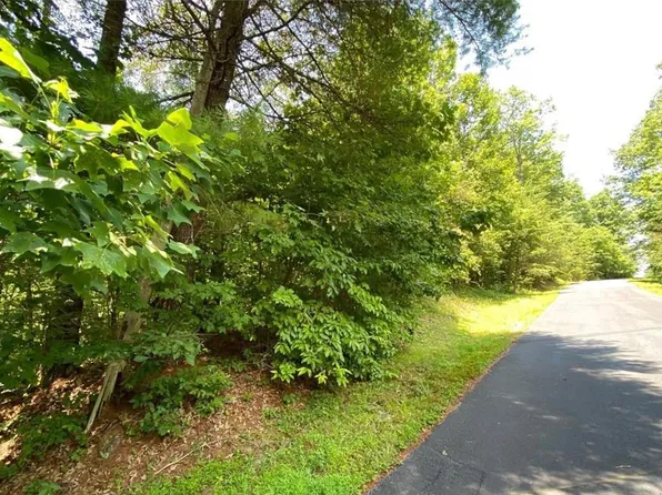 68 Stepp Ridge Ct, Hendersonville, NC 28792