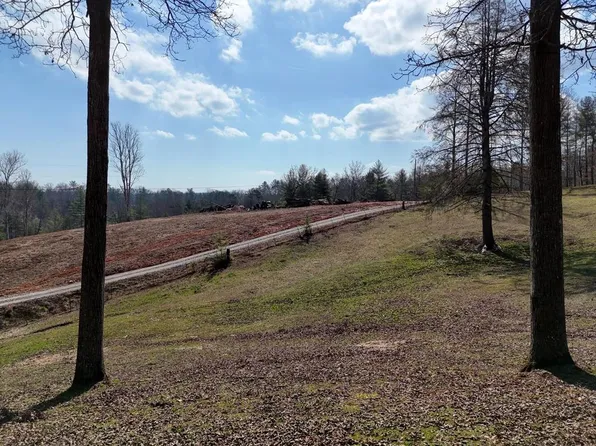 C6 Briarwoods Ln, Blue Ridge, GA 30513