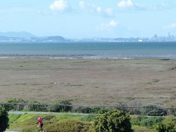 View from living room and bedroom